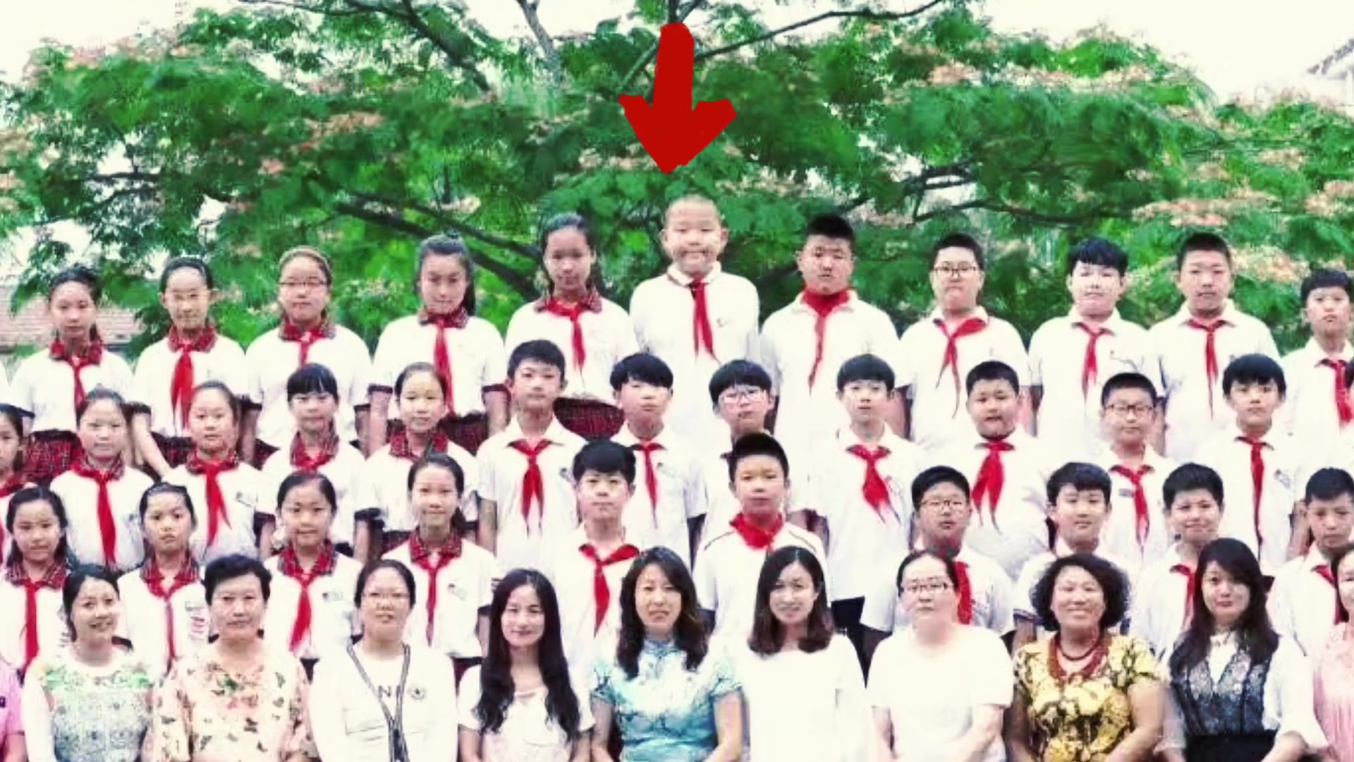 虎虎生威杨瀚森小学毕业照被网友翻出 稳居C位