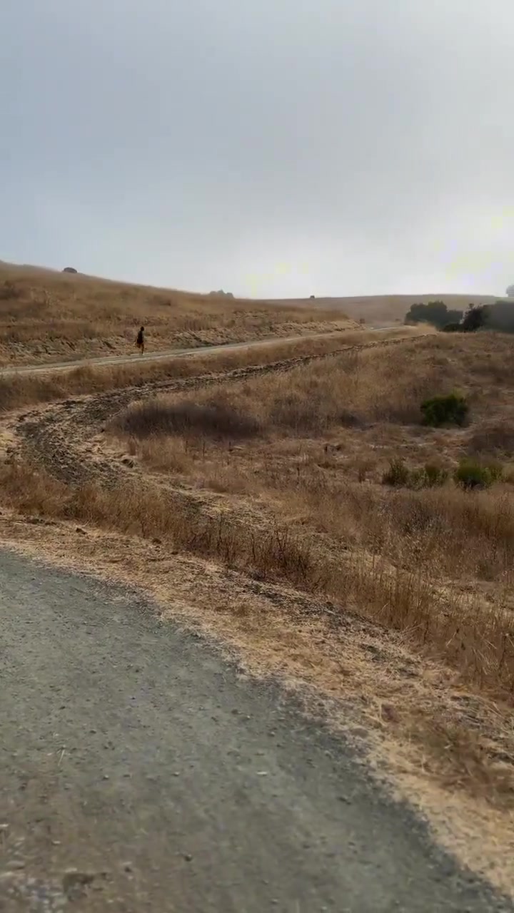 难怪防守者跟不上库里休赛期这跑山训练也太猛了️