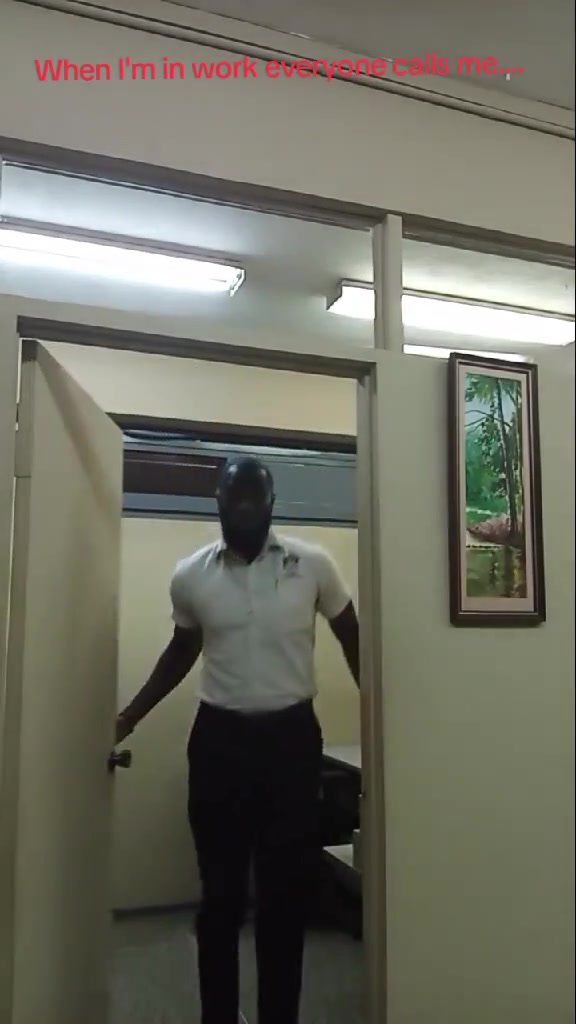 这也太像了我宣布詹姆斯在模仿詹姆斯的比赛中仅得第二名